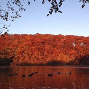 View of the Hudson River from Inwood, Northern Manhattan. Photo by Tom Stoelker 