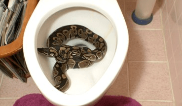 Look before you sit.