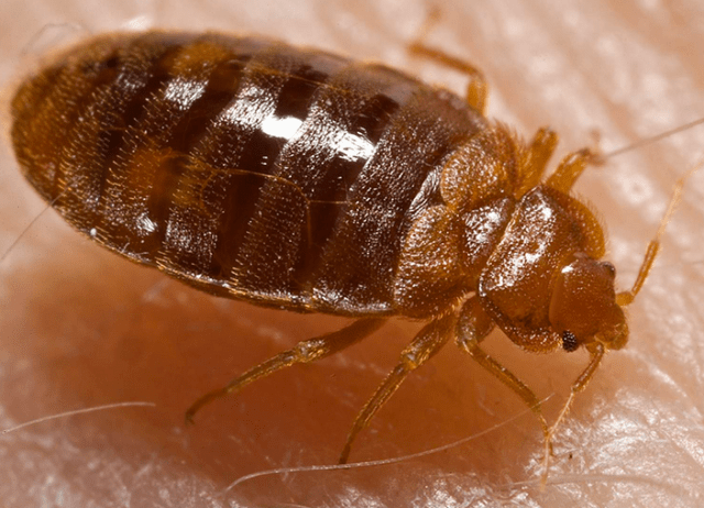 Screen shot 2014-02-11 at 4.36.45 PM