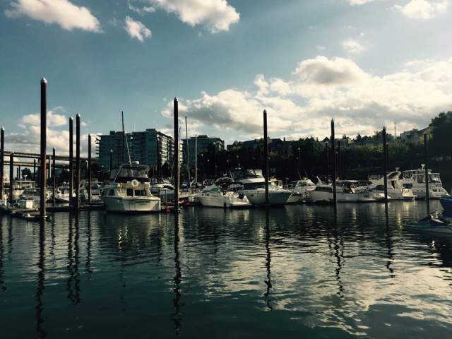 14212019_10154087187583611_6960825136154514816_n